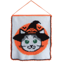 Witchy Kitten